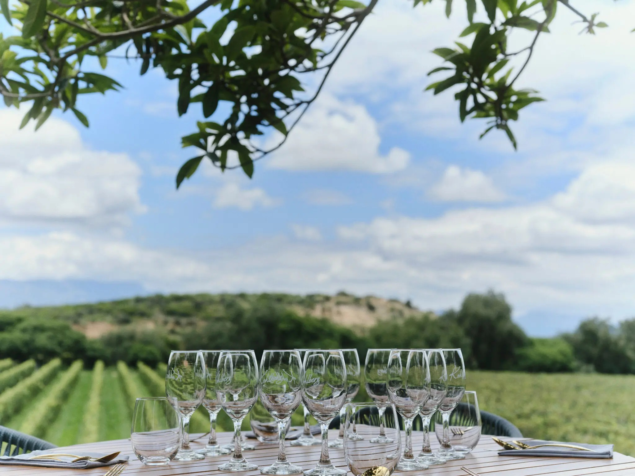 "Un almuerzo en Atmósfera", con vistas al viñedo de la bodega Kohlberg, Tarija (Bolivia). Foto: Nick Ballón para The New York Times