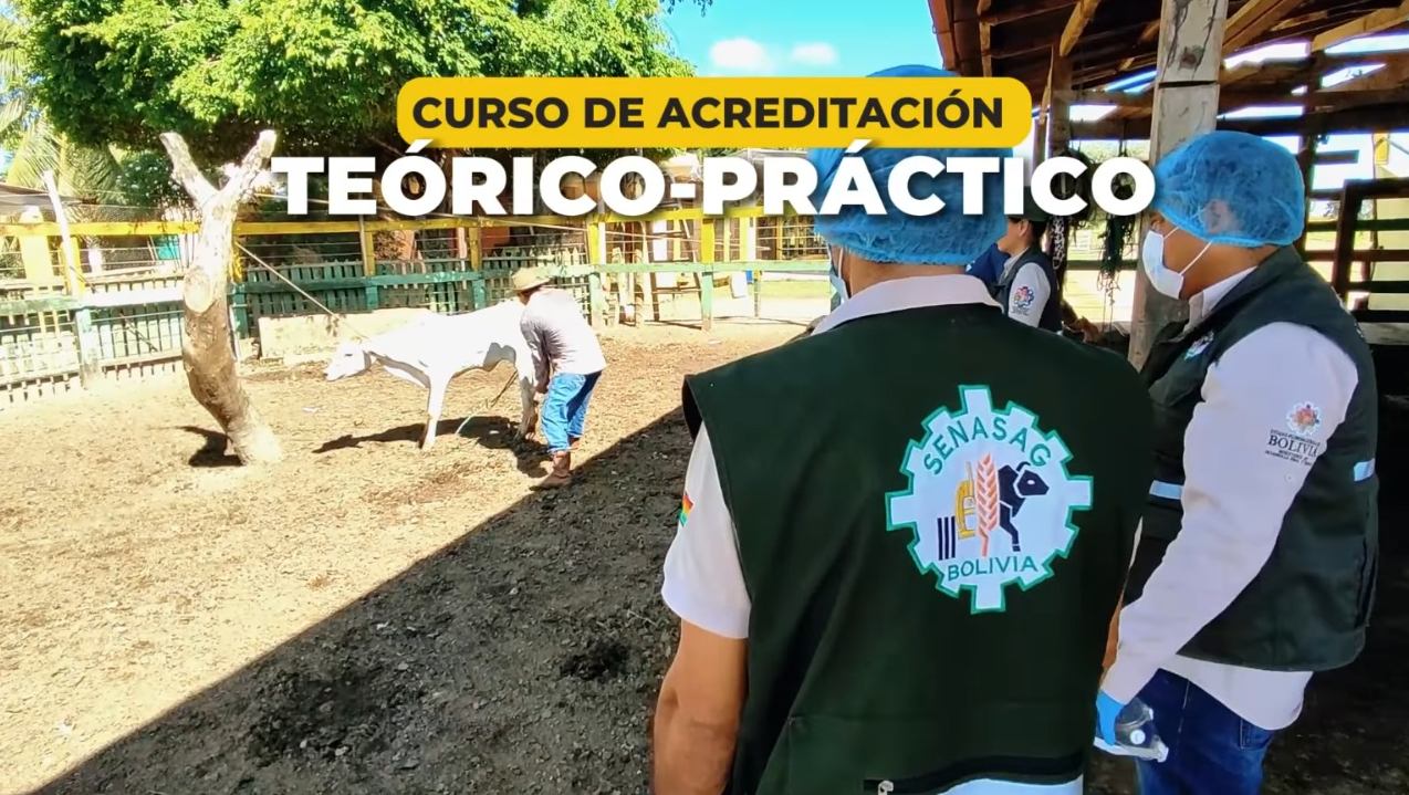 Captura: Senasag Bolivia