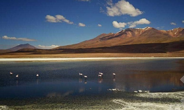 Levantan de manera gradual restricción de ingreso de turistas a la Reserva Eduardo Avaroa
