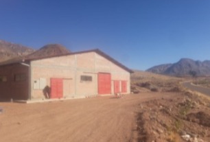 En Potosí se producirá galletas, jugo y néctar de zanahoria