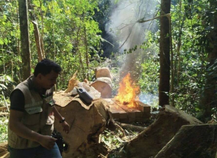 Intervienen desmontes ilegales en Pando y hallan campamento peruano de tala ilegal