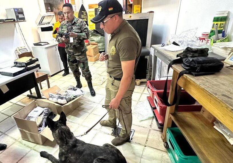 Can antidrogas Quetzal detecta cocaína impregnada en ropa que iba a ser enviada a Francia
