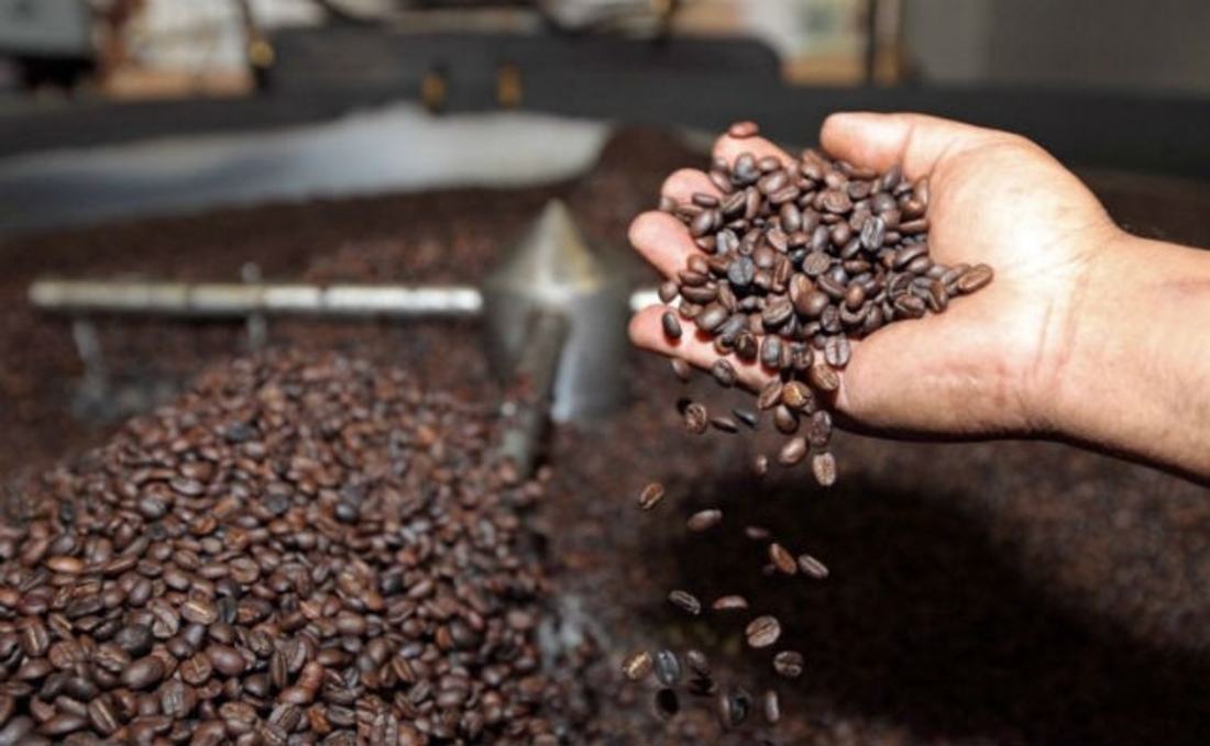 Bolivia exportó más de 27.000 toneladas de café por $us 108 millones en los últimos 10 años