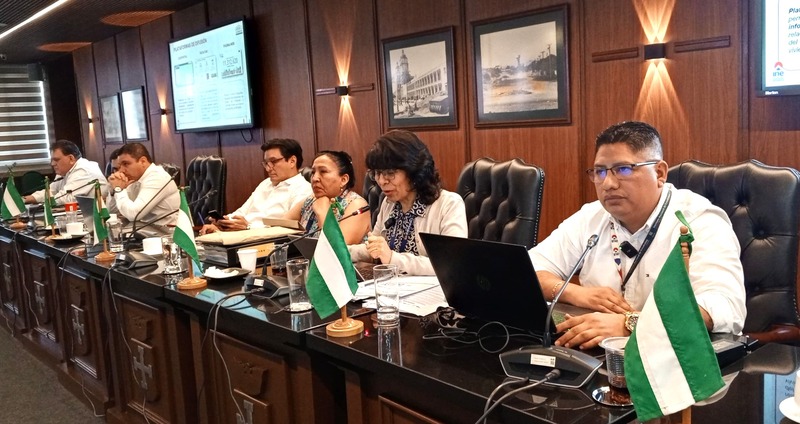 INE tiene un avance del 95% y prepara entrega de resultados finales del Censo 2024