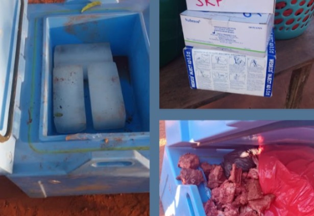 Trabajadores que transportaban vacunas contra el sarampión las reemplazaron con carne en la cadena de frío