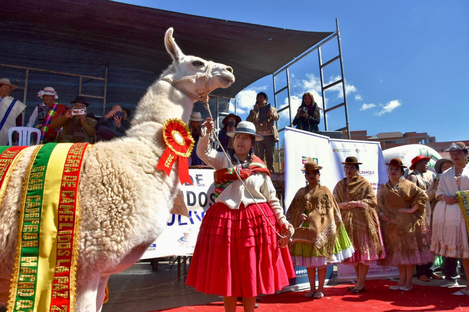 Sector camélido se visibiliza como estratégico para la seguridad alimentaria y el desarrollo rural