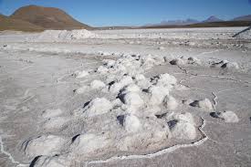 Dirigente afirma que comunidades potosinas rechazan paralización de contratos del litio y piden desarrollo