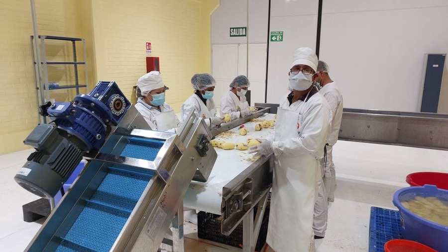 Tiquipaya ingresa a la era de la industrialización con la Planta Procesadora de Papa, beneficiará a más de 1.790 familias