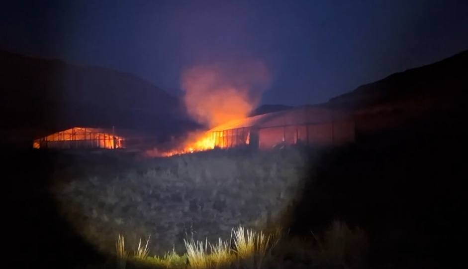 Felcn halla e incinera 15 viveros de marihuana en Chayanta