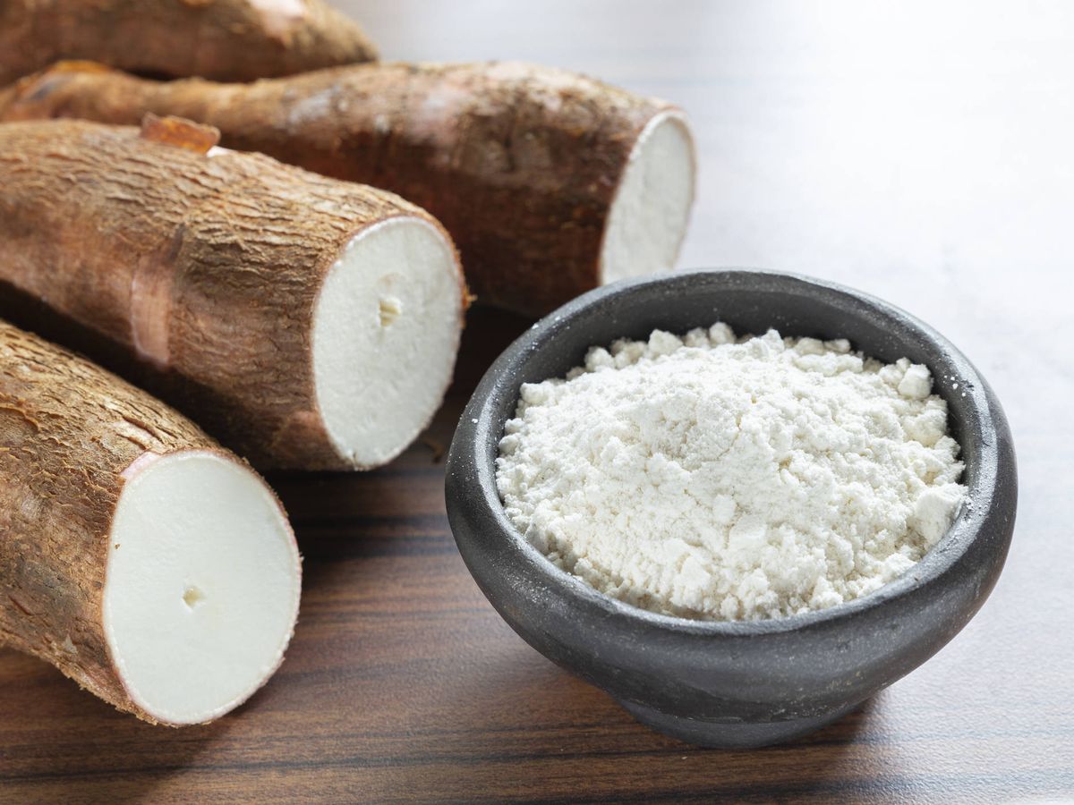 Construcción de la planta de industrialización de yuca en Entre Ríos concluye en julio y beneficiará a cerca de 4.000 familias