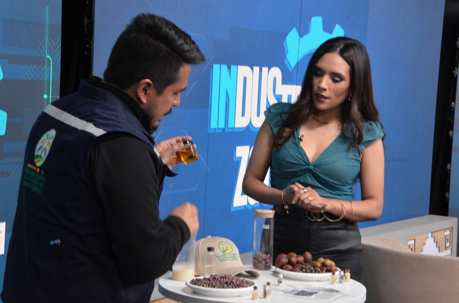 Empieza cultivo de macororó, materia prima para biodiésel, combustible de aviación y lubricantes