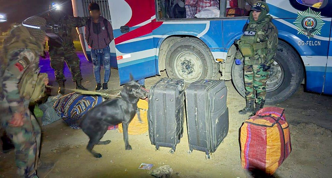 Can antidrogas frustra traslado de cocaína en bus interdepartamental en la ruta Cochabamba – Oruro