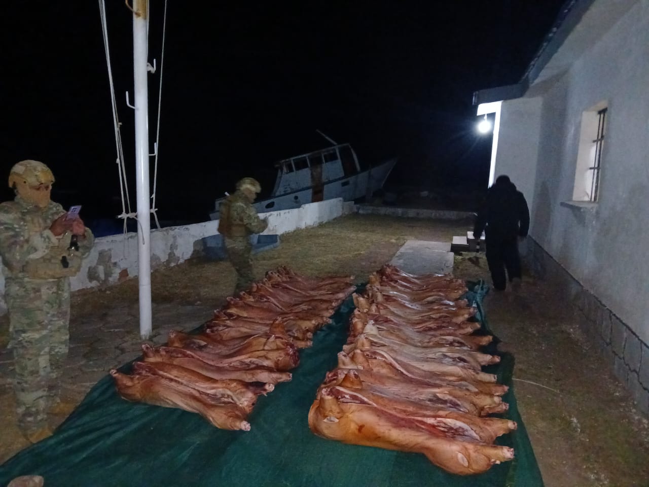 Patrullaje lacustre en Guaqui comisa embarcación que llevaba 2.000 kilos de carne de cerdo