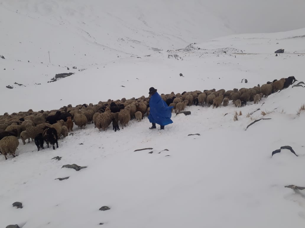 Prevén nevadas en la cordillera paceña, frontera con Perú y el ingreso de un nuevo frente frío