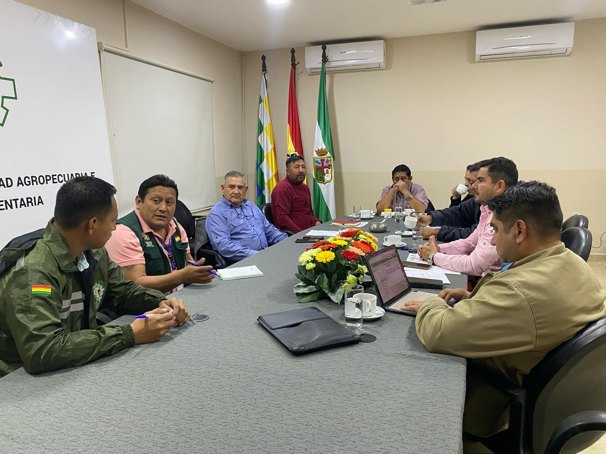 Bolivia activa diálogo para exportar charque de llama a EEUU