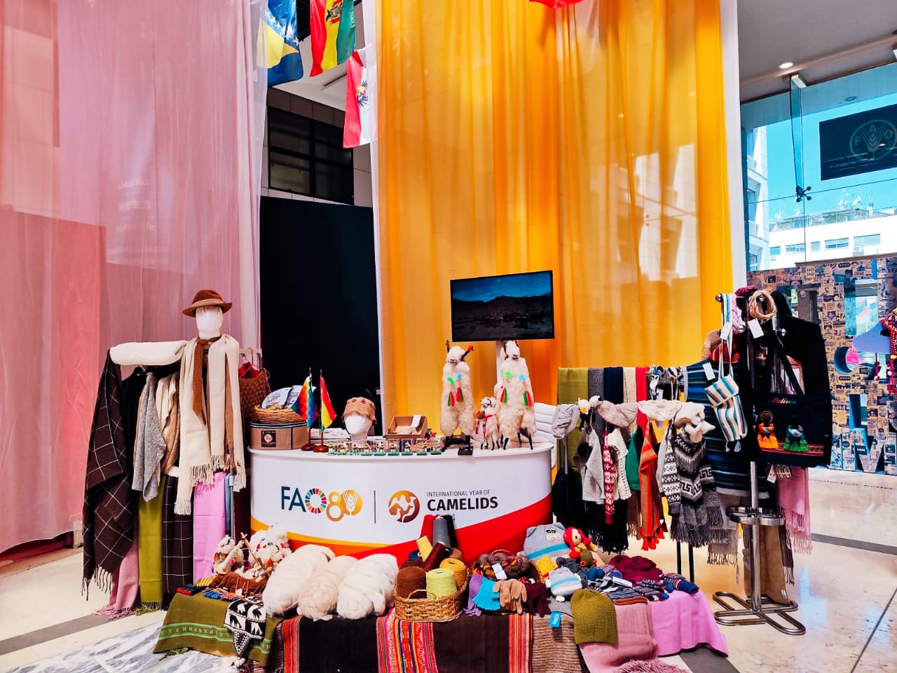 Bolivia cierra el Año Internacional de los Camélidos y posesiona su importancia en la seguridad alimentaria