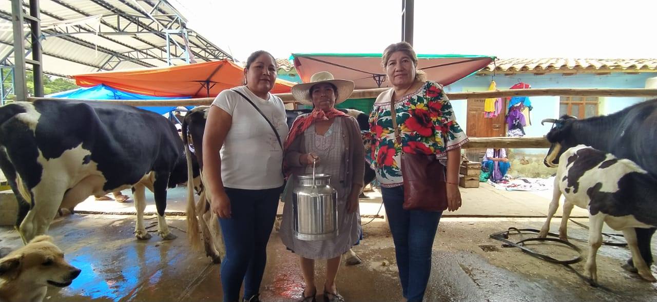 Entrega de incentivos a la Asociación de Productores Lecheros de Mizque (APLM), Cochabamba. Foto: FPS