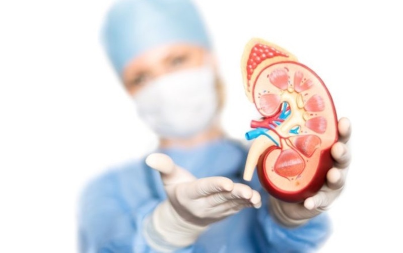 Pando prepara campañas, ferias y atenciones médicas para conmemorar el mes de la salud renal