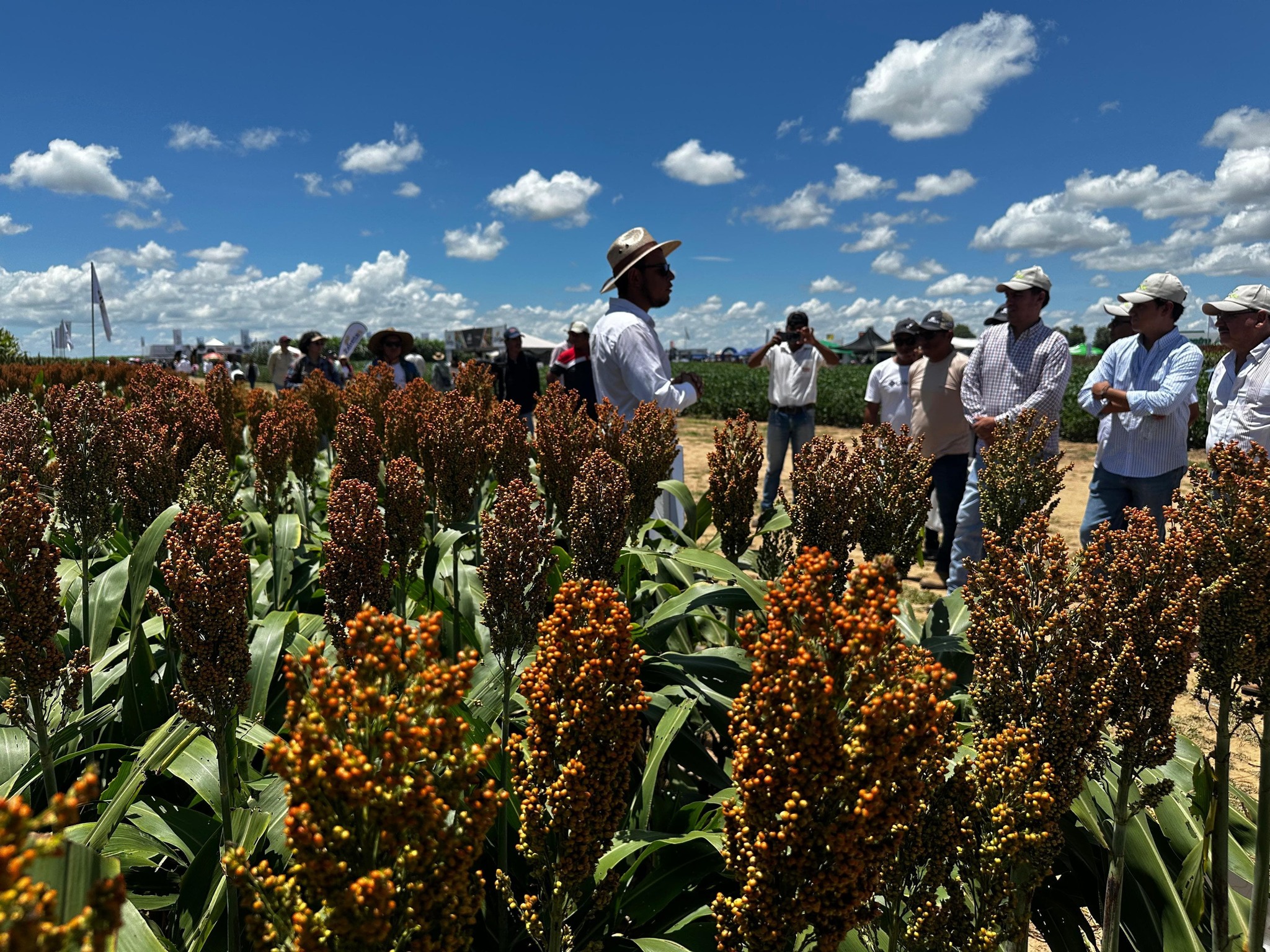 Presidente instruye a su gabinete garantizar diésel para la cosecha en el agro