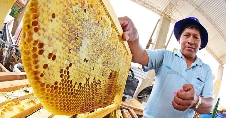 Productor de miel natural en Bolivia. Foto: RRSS