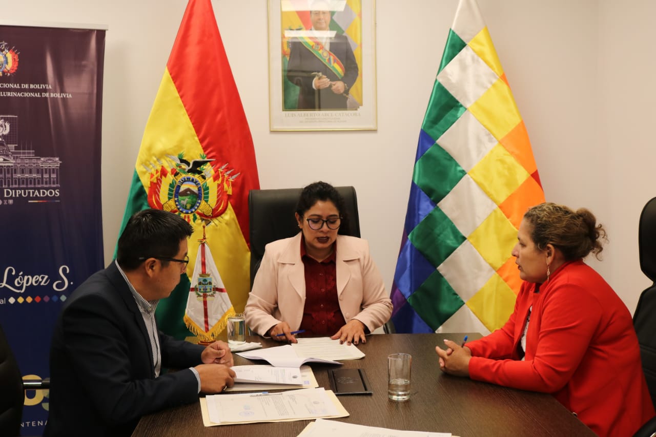 Comité de Diputados aprueba leyes de equidad de género en binomios presidenciales y de debate obligatorio