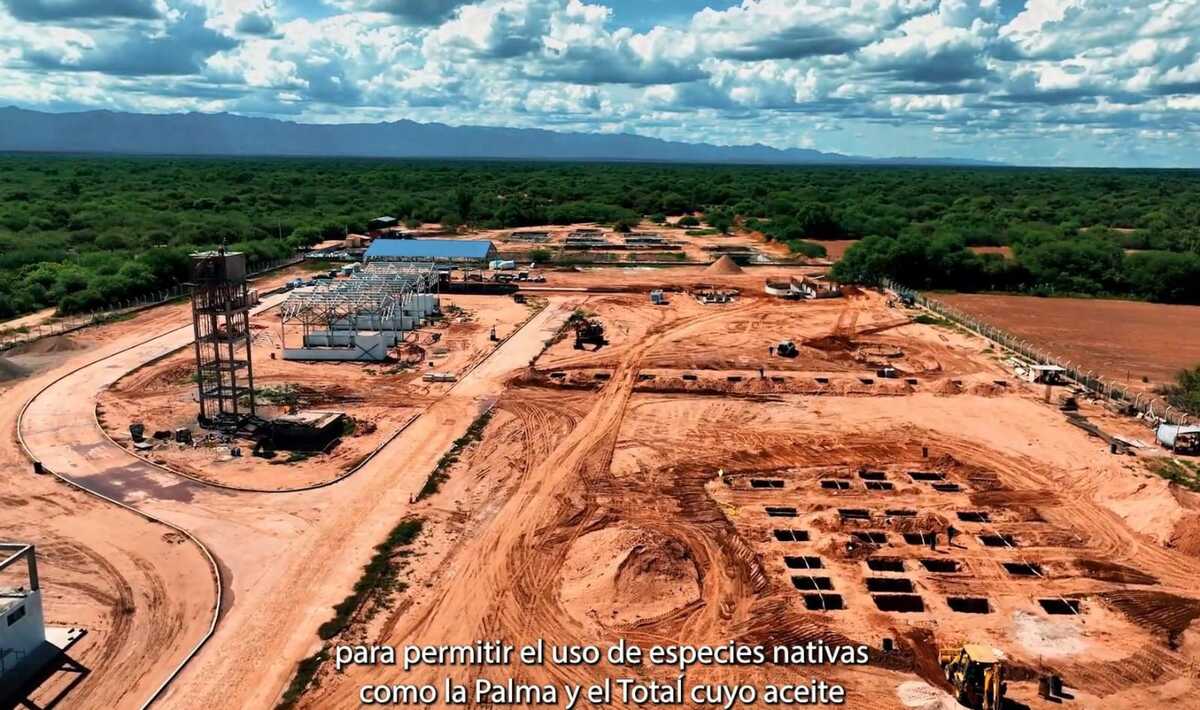 Avanza construcción de la planta procesadora de aceite vegetal en Chimoré para la industria del biodiésel