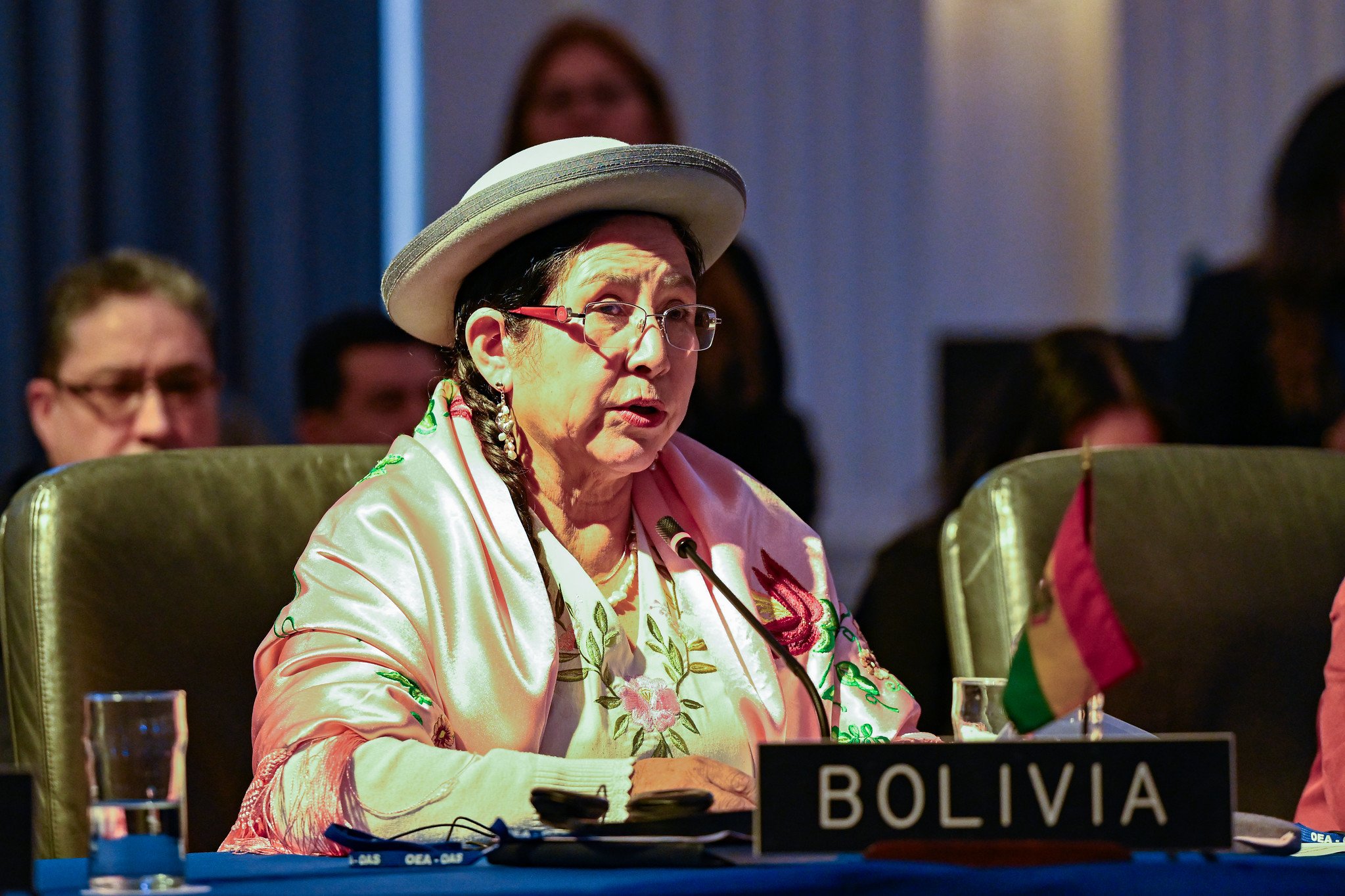 Bolivia afirma que empieza nueva etapa en la OEA con la elección del secretario General Albert Ramdin