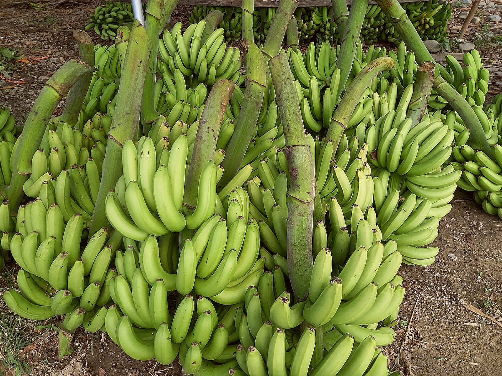 Organizan “Rueda de negocios del Bicentenario” en Santa Cruz para el jueves 13 y viernes 14