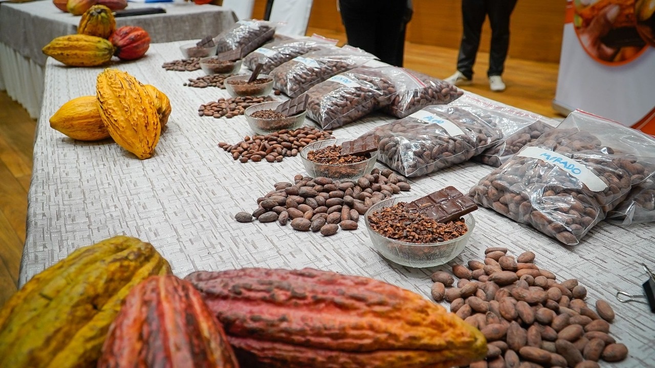 Salón Cacao y Chocolate del Bicentenario muestra la alta calidad y variedad de productos de cacao boliviano