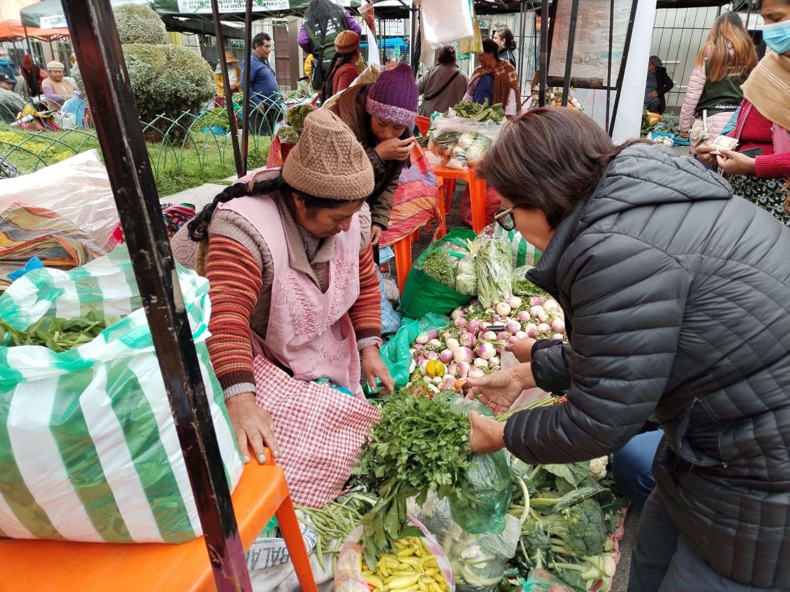 Preparan 7 ferias “Del campo a la olla” en La Paz y El Alto, y otras a nivel departamental