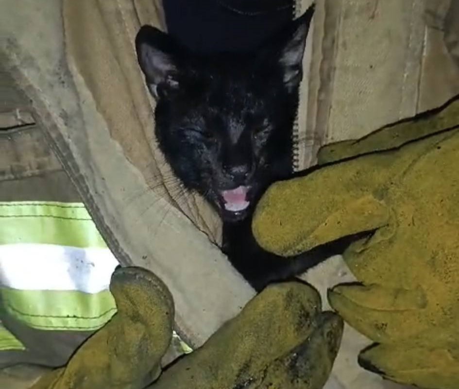 Sofocan un incendio de magnitud en un centro comercial de Santa Cruz de la Sierra