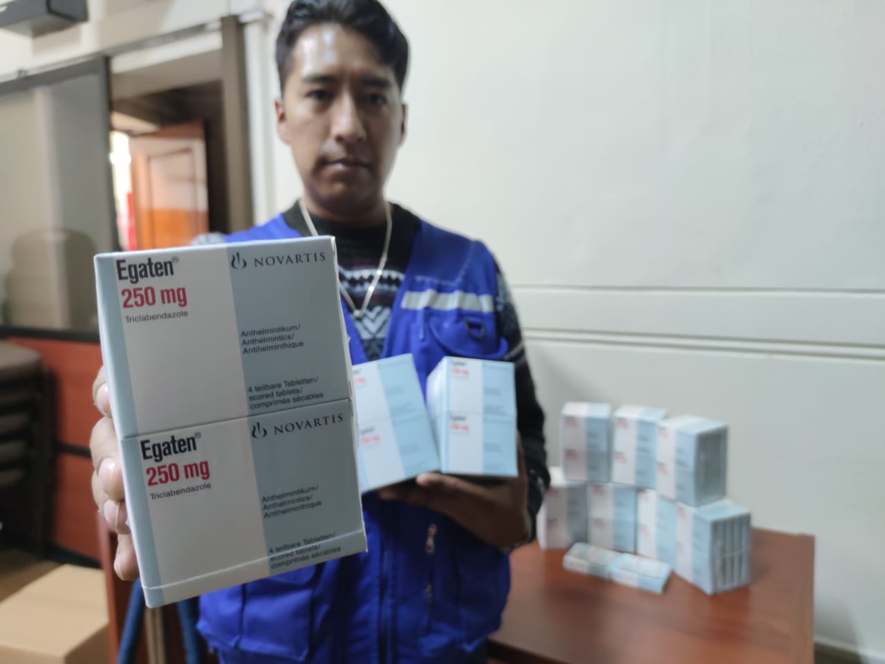 Inicia distribución gratuita de 443.000 desparasitantes contra la fasciolasis en 20 municipios paceños
