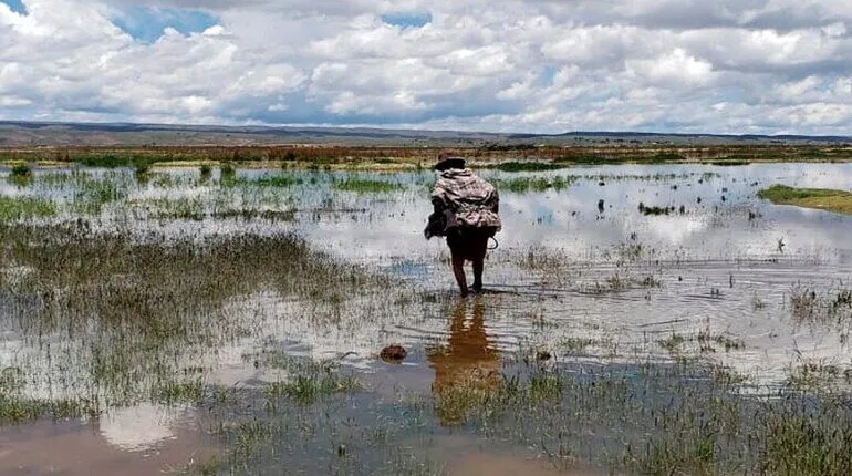 Cultivos en riesgo por las intensas lluvias en Bolivia. Foto: RRSS