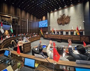 Tras cinco meses, Senado sanciona crédito de $us 75 millones para atender desastres naturales