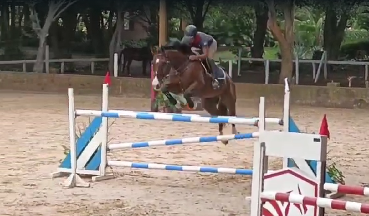 Jinete paceño Mauricio Zalles entrena en Brasil con apoyo del programa “Sueño Bicentenario”