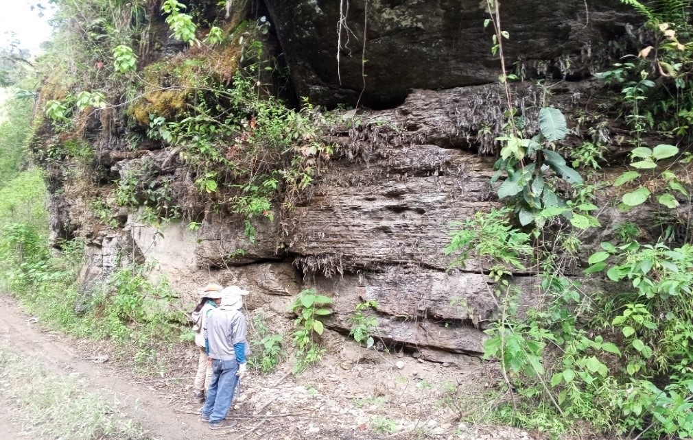 Sergeomin identifica estructuras mineralizadas de oro, polimetálicos, hierro y caliza. Foto: Comibol