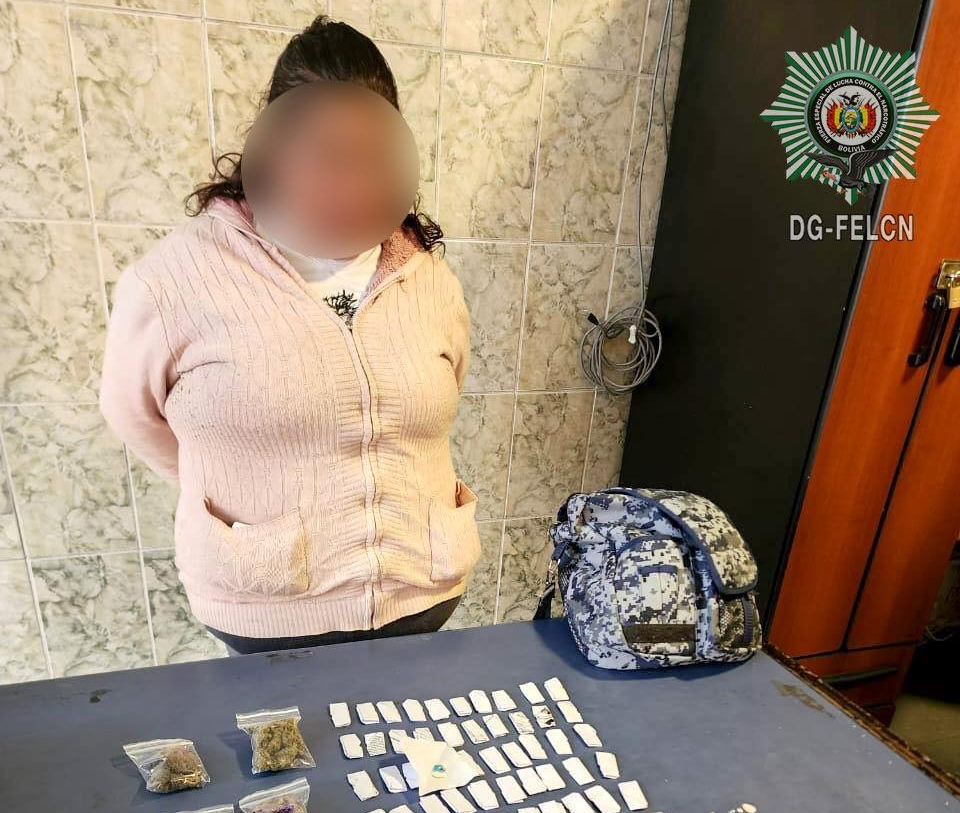 Identifican a persona con sustancias controladas en una mochila en Villa Dolores de El Alto