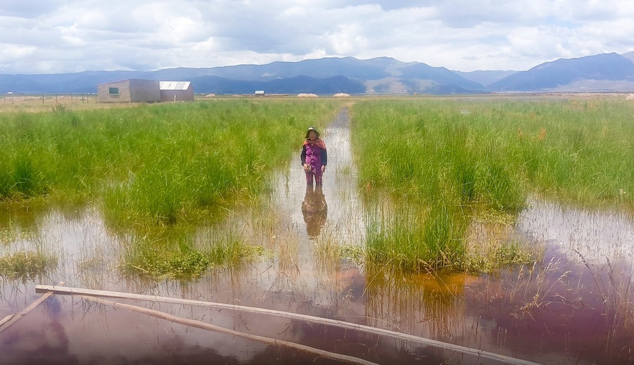 Oruro declara desastre departamental, lluvias afectaron a más de 22.000 familias y 3.674 hectáreas de cultivos