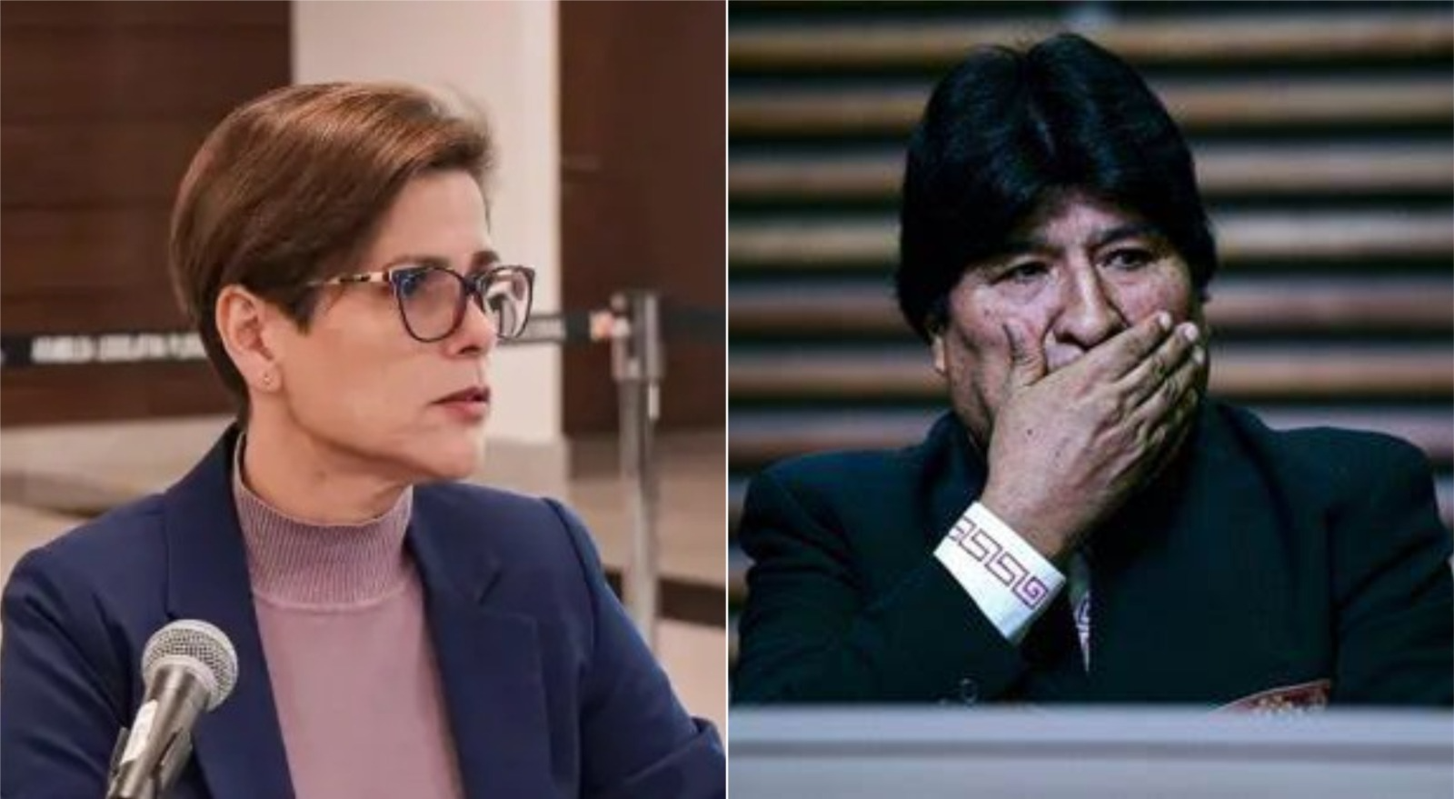 Juez Lilian Moreno habría incurrido en prevaricato al emitir su fallo que paraliza la investigación de Evo Morales por el caso de trata de personas y estupro. Foto: RRSS