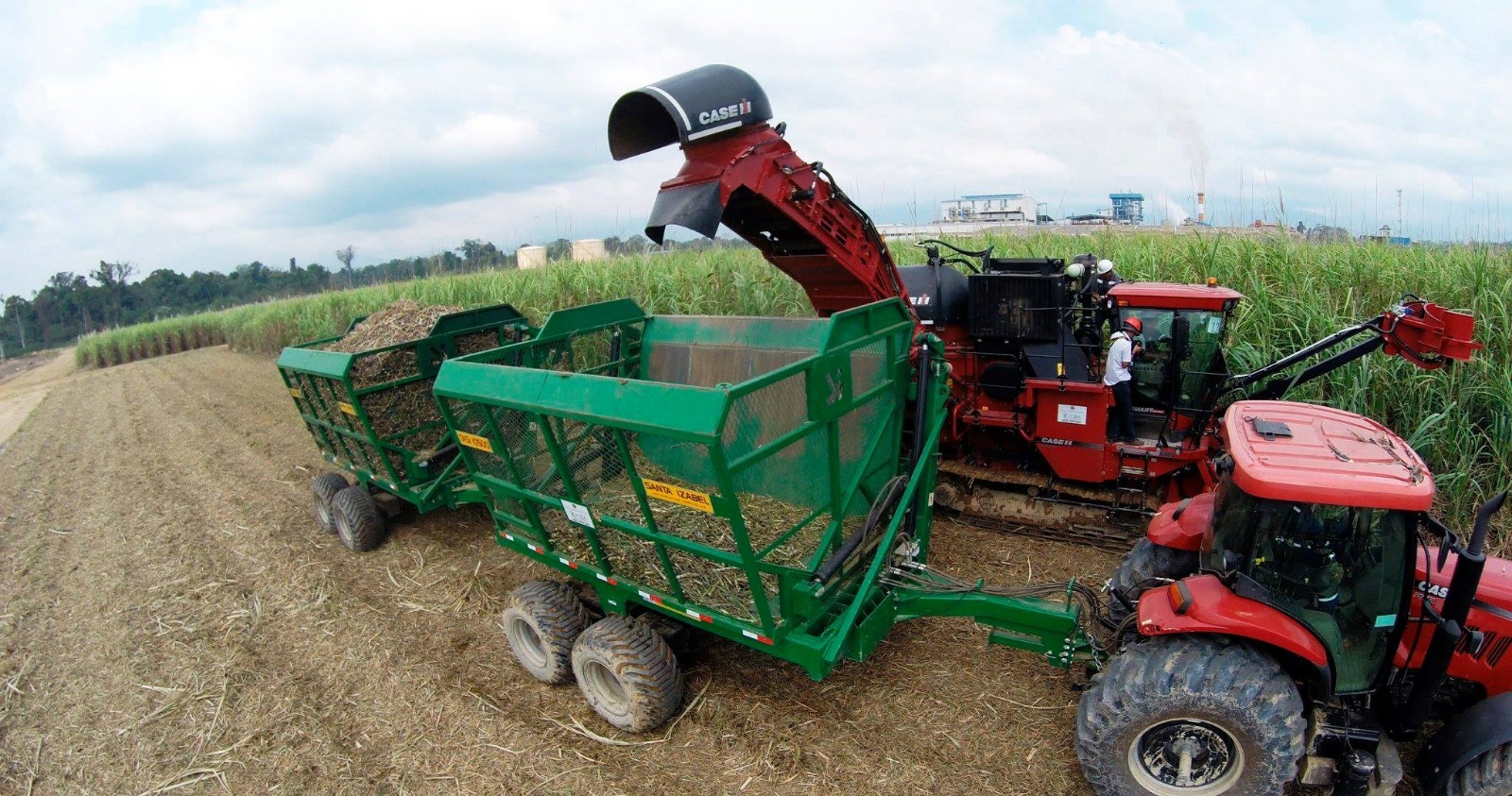 Prueba piloto de Easba logra subir rendimiento de producción de caña hasta 100 toneladas por hectárea