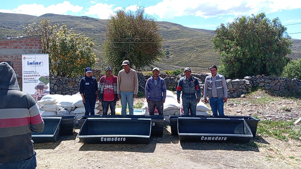 Proyecto ganadería del Iniaf comienza nueva etapa de engorde en el municipio Yocalla, Potosí. Foto: Iniaf 