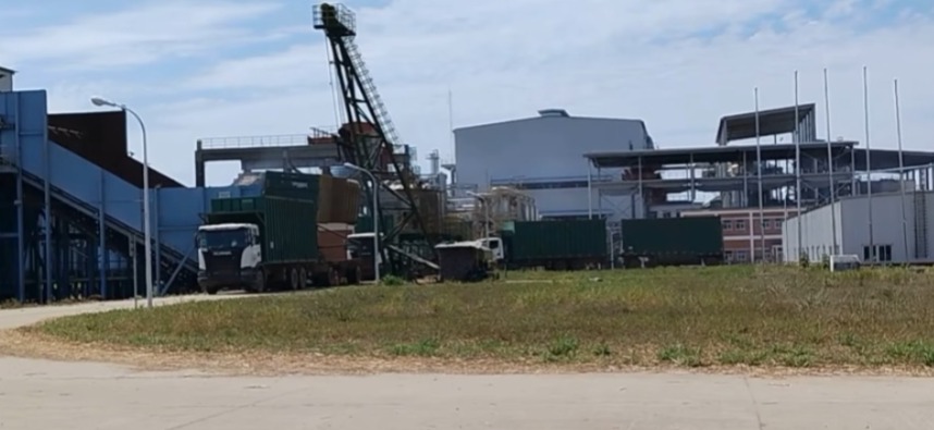 En La Paz logran subir a 100 toneladas de azúcar la producción por hectárea de caña para apoyar al ingenio azucarero