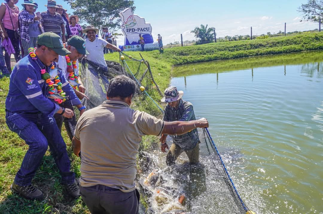 Entregan 58 pozas de producción piscícola y siembran 58.000 alevines de pacú en San Julián y El Puente