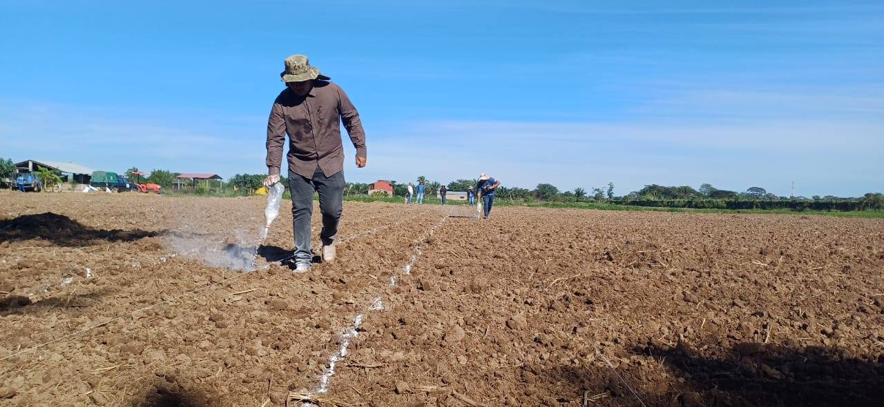 Delimitación del terreno de siembra en el municipio de Okinawa Uno, Santa Cruz. Foto: Iniaf