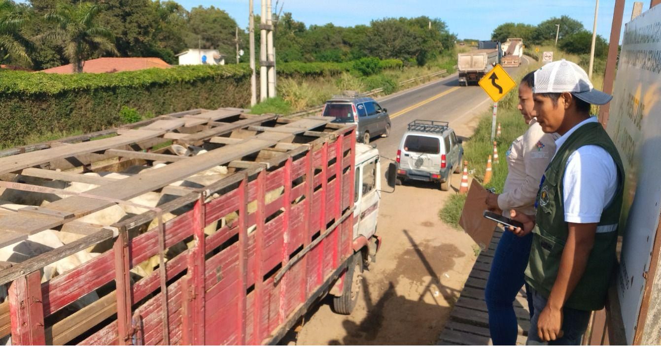 Puesto de control de Sanidad Animal del Senasag (Servicio Nacional de Sanidad Agropecuaria e Inocuidad Alimentaria) en Santa Cruz. Foto: Senasag