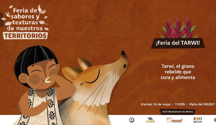 Las bondades del tarwi serán mostradas en la “Feria de Sabores y Texturas de Nuestros Territorios”