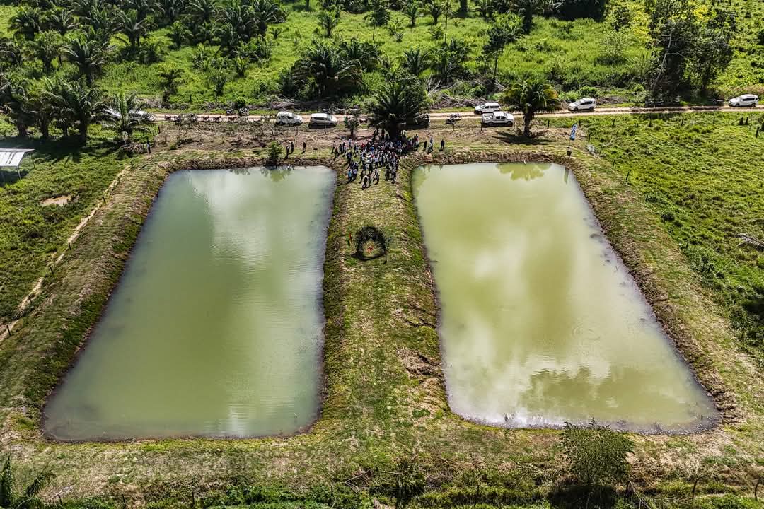 Entregan 103 pozas de producción piscícola en Beni