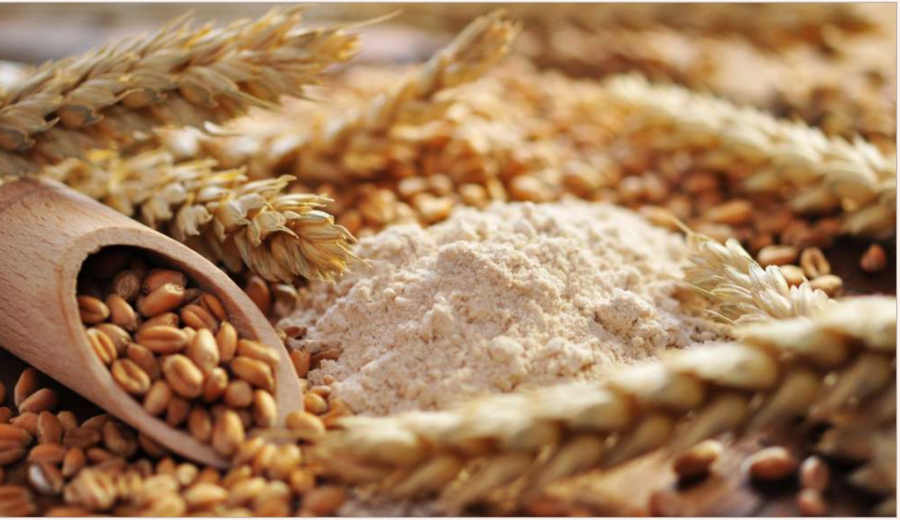 En Ckochas está a poco de concluir el centro para producir harina fortificada y contribuir al desarrollo regional