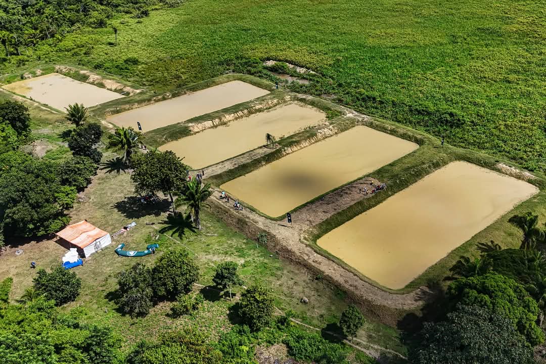 En Reyes entregan 20 pozas de producción piscícola