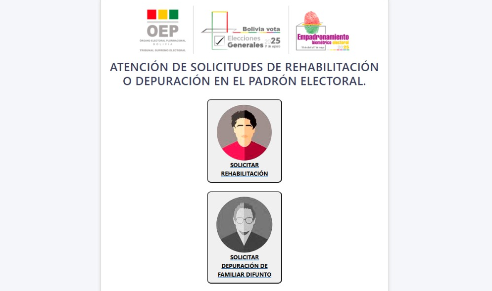 Captura de pantalla a la interfaz de solcitudes del Tribunal Supremo Electoral (TSE), 2025. Foto: OEP